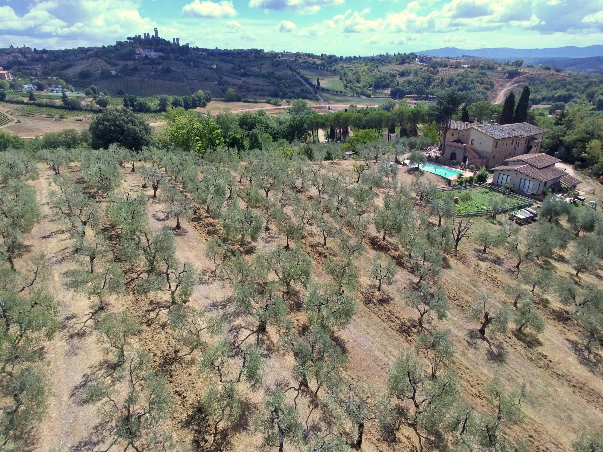 Agriturismo I Pini سان جيمينيانو المظهر الخارجي الصورة